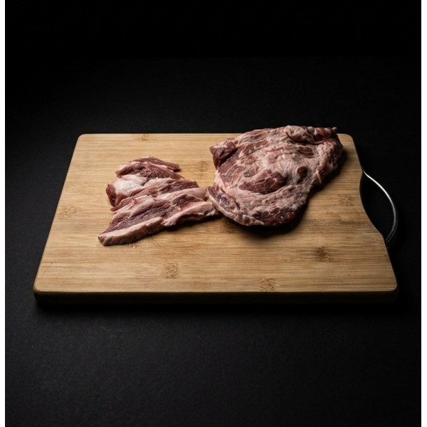 Pluma ibérica 100% bellota